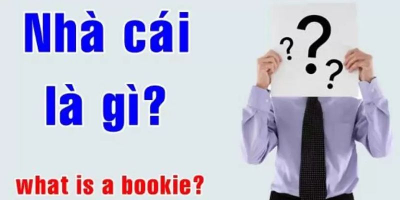Nhà cái là gì?