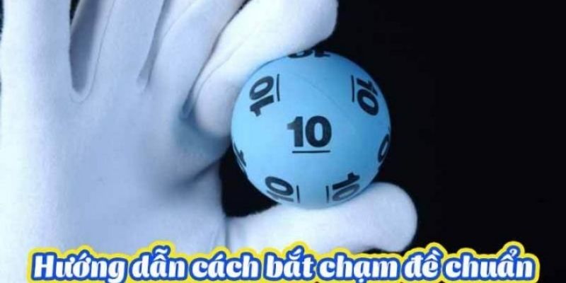 5 phương pháp bắt đề chạm miền Bắc cực chuẩn