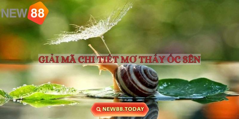 Giải mã chi tiết nằm mơ thấy ốc sên liên quan tài lộc Giải mã chi tiết nằm mơ thấy ốc sên liên quan tài lộc